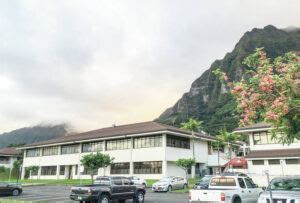 Suspect in fatal Hawaii nurse stabbing pleaded guilty last year to assaulting mental health worker